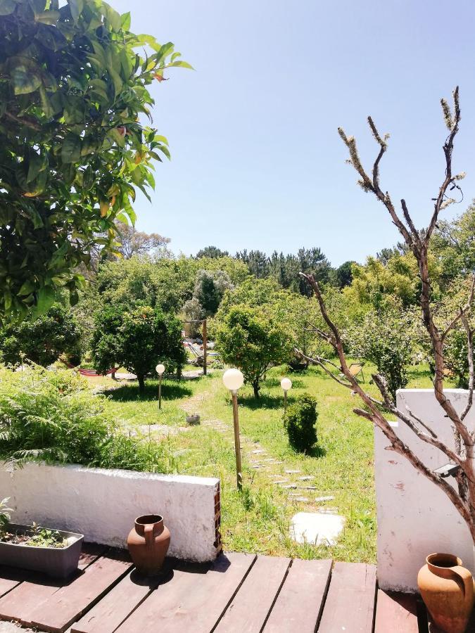 Villa Quinta Do Marinheiro - Meco Aldeia do Meco Exterior foto